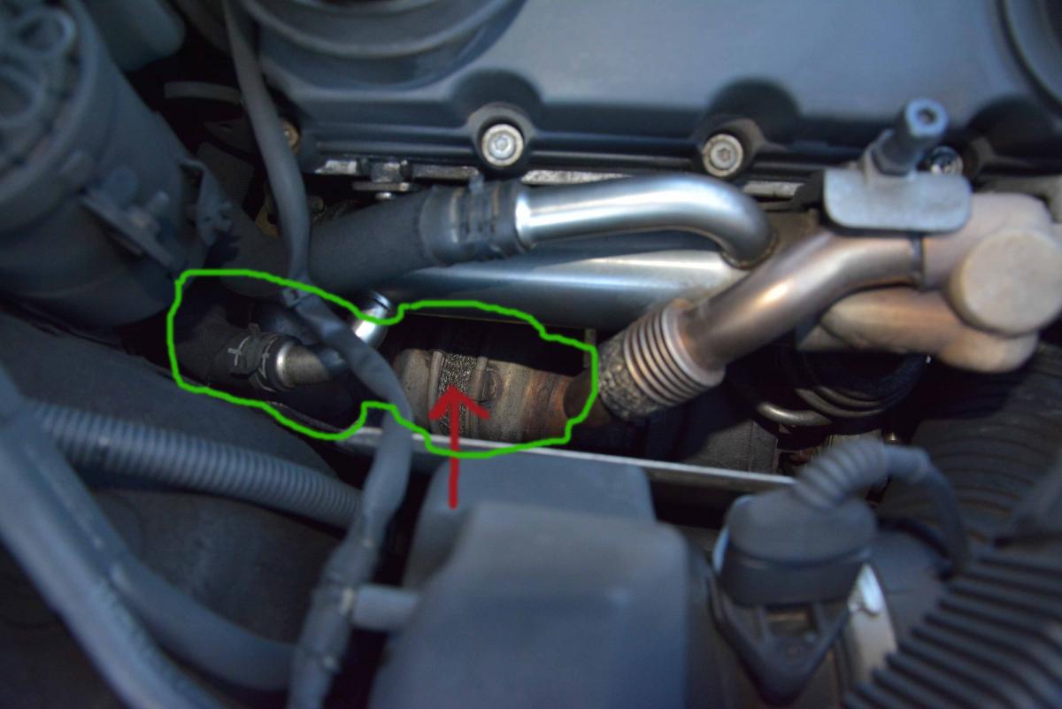 Help - What is this in the picture?