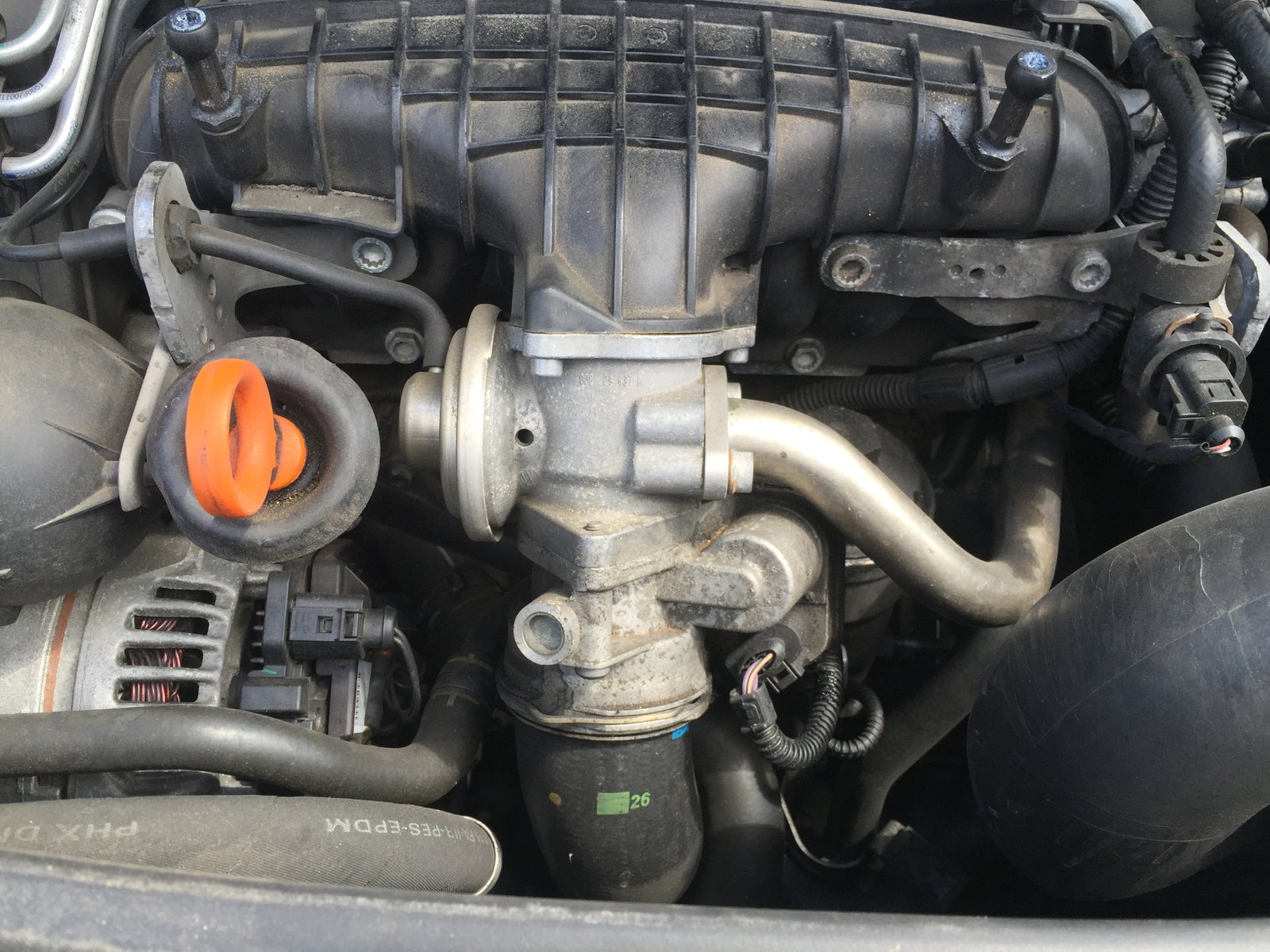 EGR Delete Question