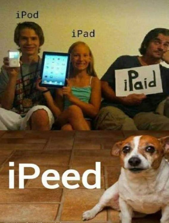 FB_IMG_1547835567438.jpg