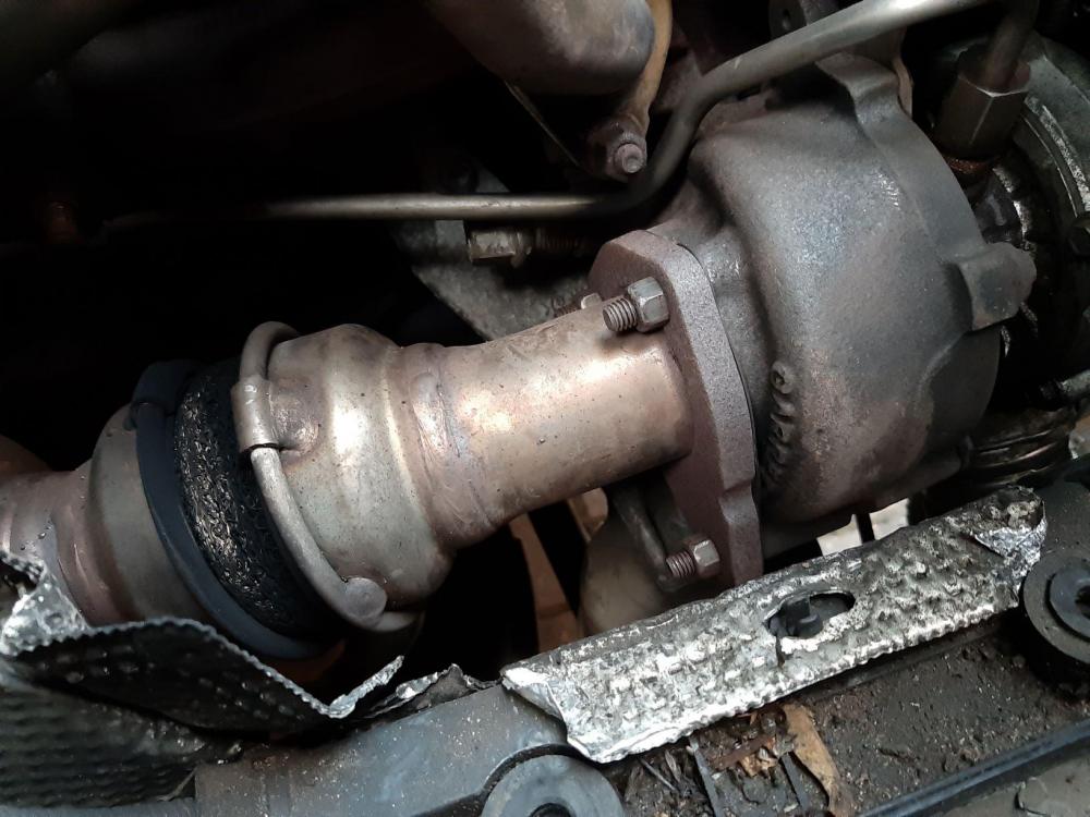 20190429_195233 - Copy resized.jpg