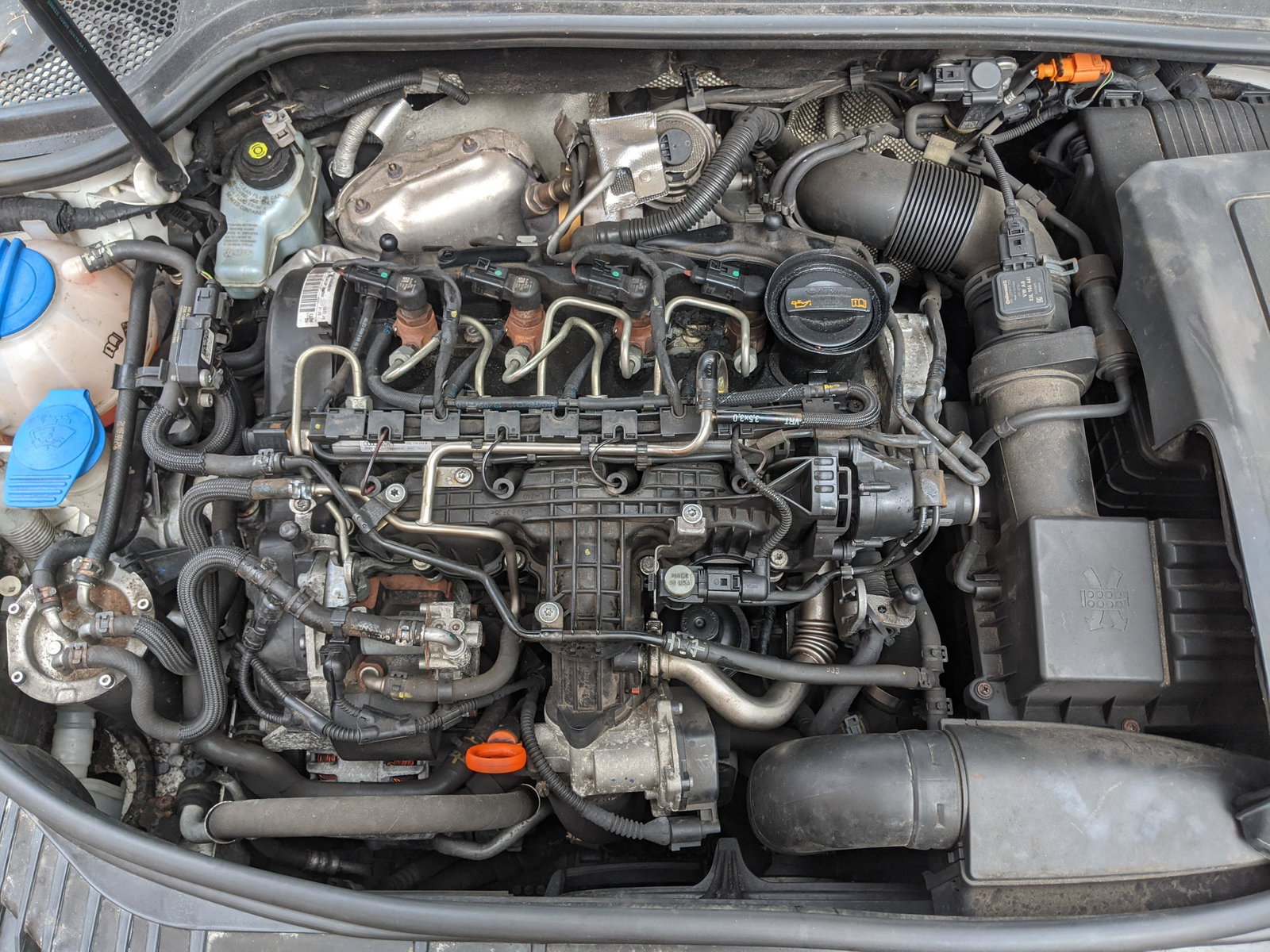 EGR Valve Location Expertise Required