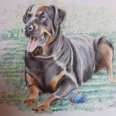 Jake0366