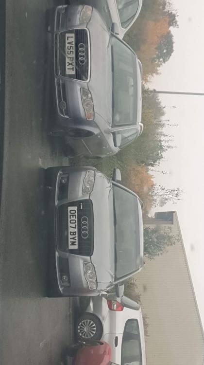 received_349064176322766.thumb.jpeg.45376f75090c60fc01db45250ce87e9c.jpeg
