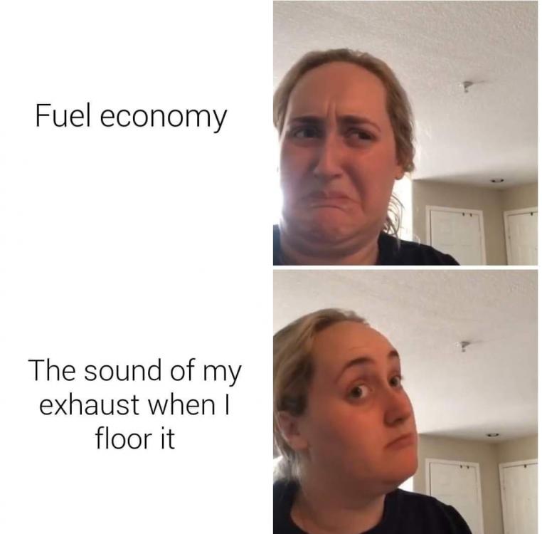 FB_IMG_1620418559859.jpg
