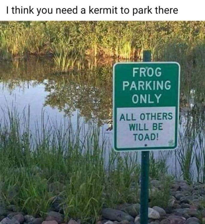 FB_IMG_1620941124465.jpg