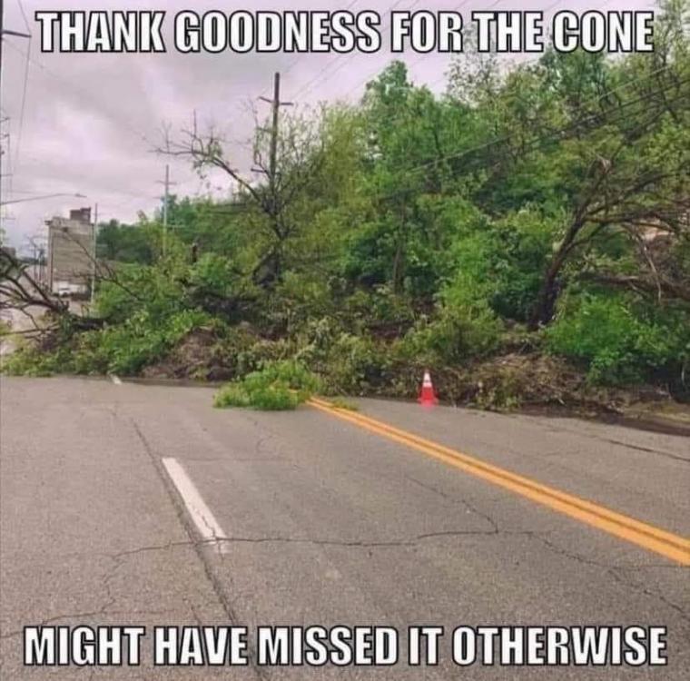 FB_IMG_1622317361451.jpg
