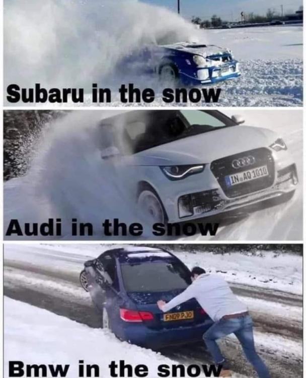 FB_IMG_1672426025616.jpg