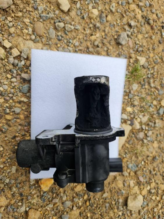 d29f6044-06c4-401e-bf1d-3a0cfa5cfd912.thumb.JPG.85d81c6b527f1abc47e574c808b4d556.JPG