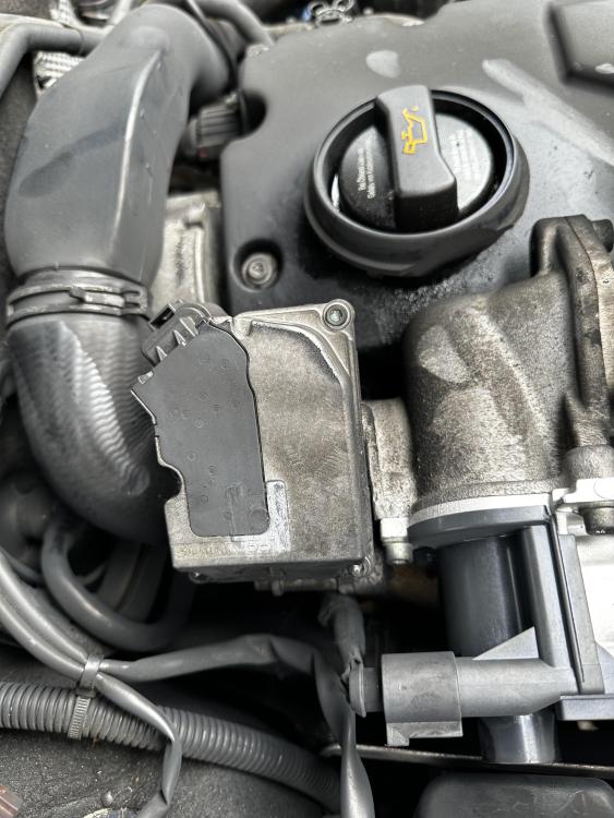 Manifold 2.jpg