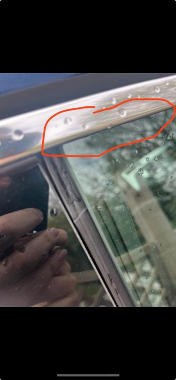 IMG_4532.thumb.jpeg.aa96c66a89e73cee0142ba5685d0905c.jpeg