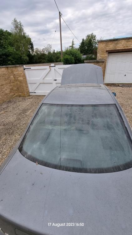 WhatsApp Image 2023-10-22 at 17.40.23_8c6350b0.jpg