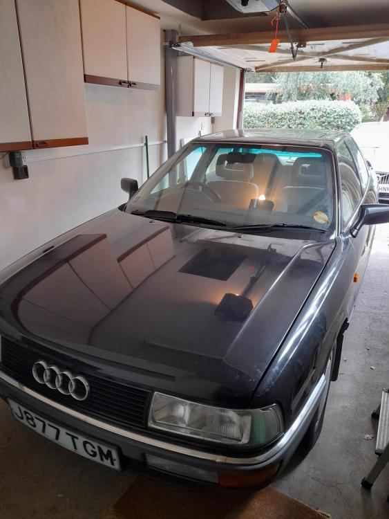 Audi 4.jpg