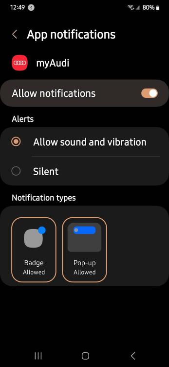 Screenshot_20241123_124941_Settings.thumb.jpg.924ea76827b05e571cfe5f38f720bcfd.jpg
