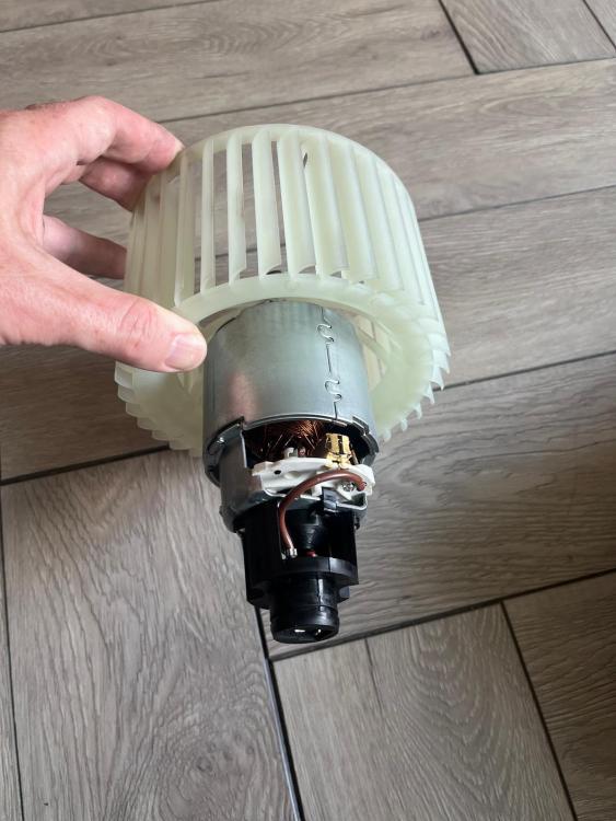 ridex fan.jpeg