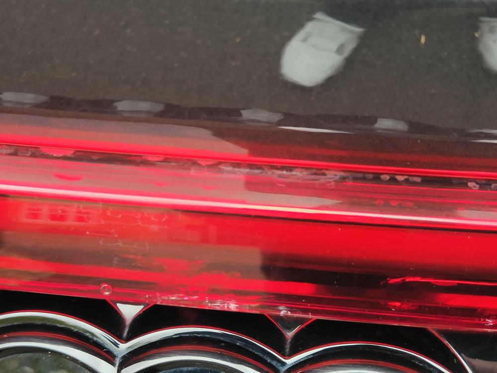 IMG20251106121244.jpg
