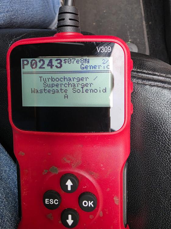 20260422_113231.jpg