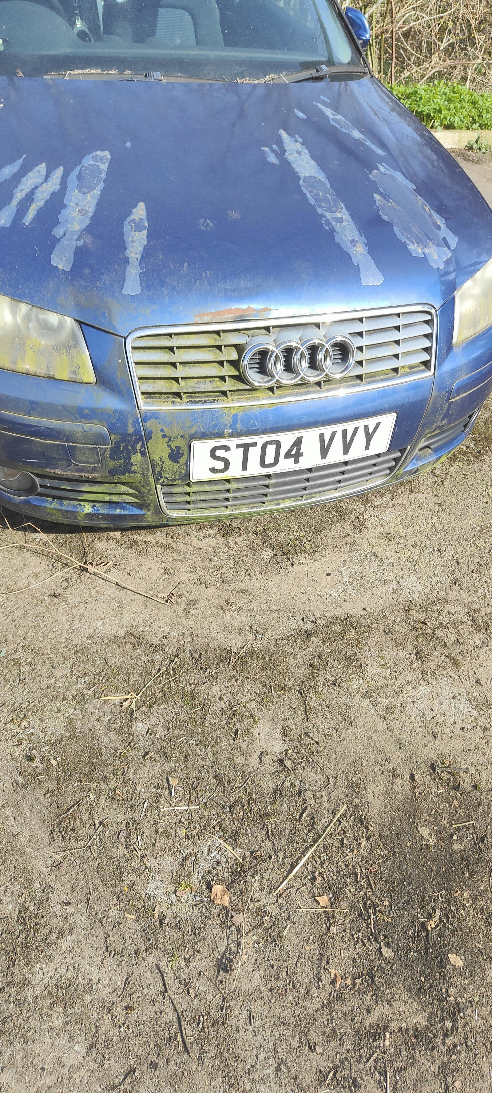 Old A3 2.0 Diesel Saved from the bailer ✊🏻
